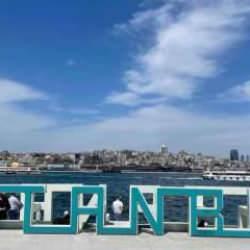 Gözlem yeteneğinizi ölçeceğiniz zeka testi: Üstün görme yeteneği olanlar 6 saniyede gizli kediyi görüyor!