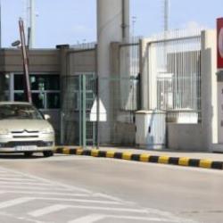 Kapıkule'de tırda yapılan aramada 28 piton yılanı yakalandı