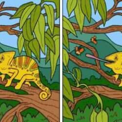 Akıllara durgunluk veren zeka testi! 32 saniyede 10 farkı bulmanız gerekiyor