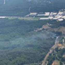 İzmir'deki orman yangını kontrol altında