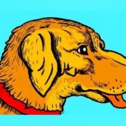 Köpekte gizlenmiş adam yüzünü 7 saniyede bul! Deneyenlerin sadece %1'i verilen sürede zeka testini yapabildi