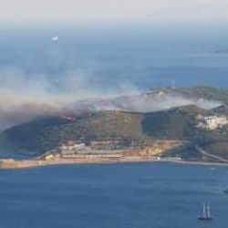 Dat&ccedil;a'da orman yangını kontrol altına alındı