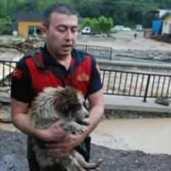 AFAD turuncu alarmı duyurdu! Bine yakın heyelan...Can kaybı var