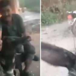 İzmir'de eşeğe eziyet eden iki ş&uuml;pheliye 30 g&uuml;n hayvan barınağı temizleme cezası