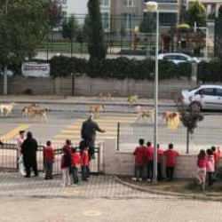 Sosyal medyada tepki çeken görüntü!