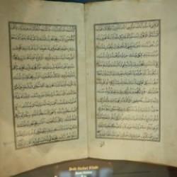 T&uuml;rk d&uuml;nyasını heyecan sarmıştı! Bursa'daki s&uuml;priz keşfin ardından yeni gelişme