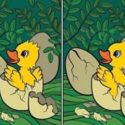 İki resim arasındaki 12 farkı 16 saniyede görebilen neredeyse yok! Zorlayıcı zeka testi ile kendini sına