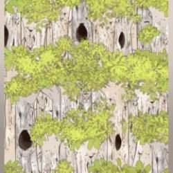 Keskin göz avlayan zeka testi! Ağaçtaki baykuşu 5 saniyede bulan kartal gözlüdür