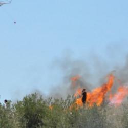 Mersin'de makilik alanda yangın!