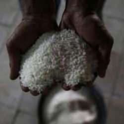 Pirinç fiyatlarına El Niño dopingi