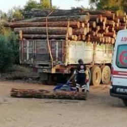 Başına tomruk d&uuml;şen 3 &ccedil;ocuk babası adamın feci &ouml;l&uuml;m&uuml;