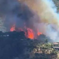 Bakan Yumaklı a&ccedil;ıkladı! Hatay'daki yangın kontrol altında: 1 kişi tutuklandı