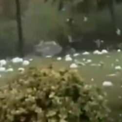 İtalya'da tenis topu b&uuml;y&uuml;kl&uuml;ğ&uuml;nde dolu: 1 &ouml;l&uuml;, 110 yaralı