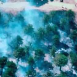 K&uuml;tahya&rsquo;da &ccedil;ıkan orman yangını kontrol altına alındı