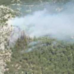 Milas'ta ormanlık alanda &ccedil;ıkan yangın kontrol altına alındı