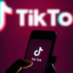 Seçim öncesi TikTok'ta 700 bin Türk hesap çalınmış