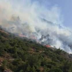 Aydın'ın S&ouml;ke il&ccedil;esinde orman ve makilik alanda yangın &ccedil;ıktı!