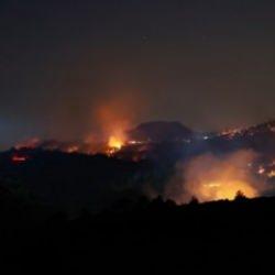 Manisa Saruhanlı'daki orman yangınına ilişkin 1 kişi tutuklandı