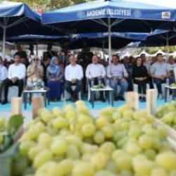 'Esenli Üzüm Şenliği' binlerce kişinin katılımıyla gerçekleşti