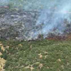 İzmir'de otomobilde &ccedil;ıkan yangın ormana sı&ccedil;radı