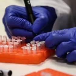 İngiltere'de bilim insanları "olmayan hastalıklar i&ccedil;in" aşı &uuml;retmeye &ccedil;alışıyor