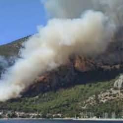 Milas'ta orman yangını