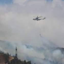 Hatay'da ciğerimizi yaktılar! Valilik orman yangınını &ccedil;ıkartanların yakalandığını a&ccedil;ıkladı