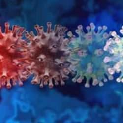 DS&Ouml;'den BA.2.86 varyantı a&ccedil;ıklaması