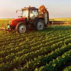 Tarım ürünlerinin üretici fiyatları Temmuz ayında yüzde 8 artış gösterdi!