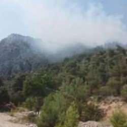 Bilecik'te orman yangını