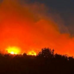 Diyarbakır’da orman yangını!