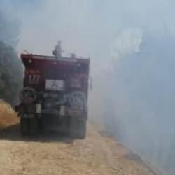 Kahramanmaraş'tan sevindiren haber: Orman yangını kontrol altına alındı!