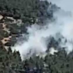 Kahramanmaraş'ta orman yangını