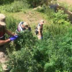 Kars'ta uyuşturucu operasyonu: 12 ş&uuml;pheli yakalandı