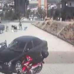 Kastamonu'da sahipsiz k&ouml;peklerin saldırdığı &ccedil;ocuğu babası kurtardı