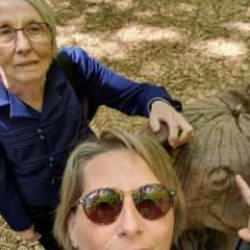 Kayıp olan Alman turist, 250 kişilik ekiple aranıyor