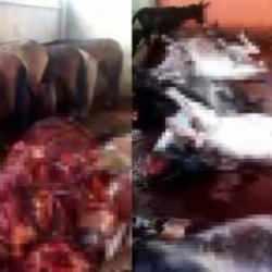 Adana&rsquo;da kesilmiş 12 eşek ele ge&ccedil;irildi