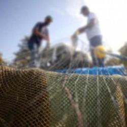 Balıkçılar yeni sezona "vira bismillah" diyecek