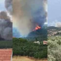 Bursa'da orman yangını! Vali b&ouml;lgede