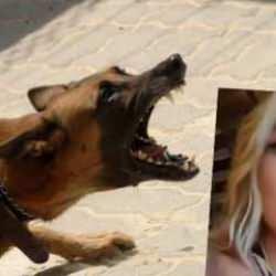 Seren Serengil'den akıllara zarar başıboş köpek yorumu: Korkanlar tedavi edilsin!