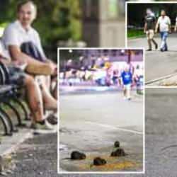 Fareler New York'ta g&ouml;zle g&ouml;r&uuml;l&uuml;r hal aldı