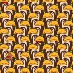 Optik illüzyon ile görsel IQ’nuzu test edin! Pelikanların arasında gizlenen pengueni arayanların sadece %5’i 9 saniye içerisinde görebiliyor