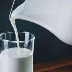 Sütaş’tan süt ve süt ürünlerinde ihracat rekoru