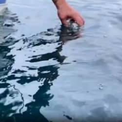 &Ccedil;ayeli'nde petrol m&uuml;jdesi bekleniyor: &Ouml;rnekler alındı