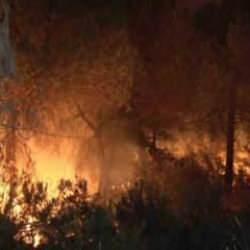 İstanbul'da orman yangını