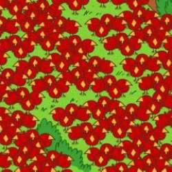 Kuşların arasında gizlenen 2 elmayı sadece üstün görsel zekâya sahip olan kişiler tespit edebiliyor!