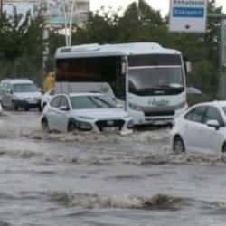 "Sel riskine karşı tedbirli havzalar ve şehirler yaratılmalı"