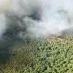  Soma&rsquo;da orman yangını!