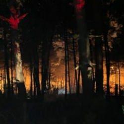 &Ccedil;ekmek&ouml;y&rsquo;de korkutan orman yangını