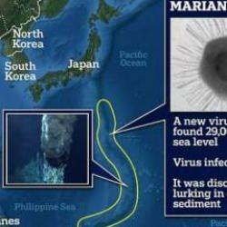 Çinliler Mariana çukurunda yeni bir virüs keşfetti!